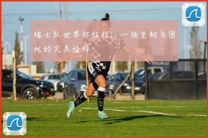 瑞士队世界杯征程：一场坚韧与团结的完美诠释