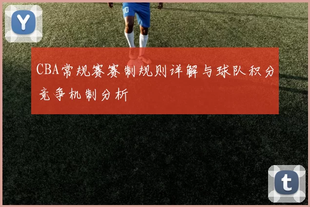 CBA常规赛赛制规则详解与球队积分竞争机制分析