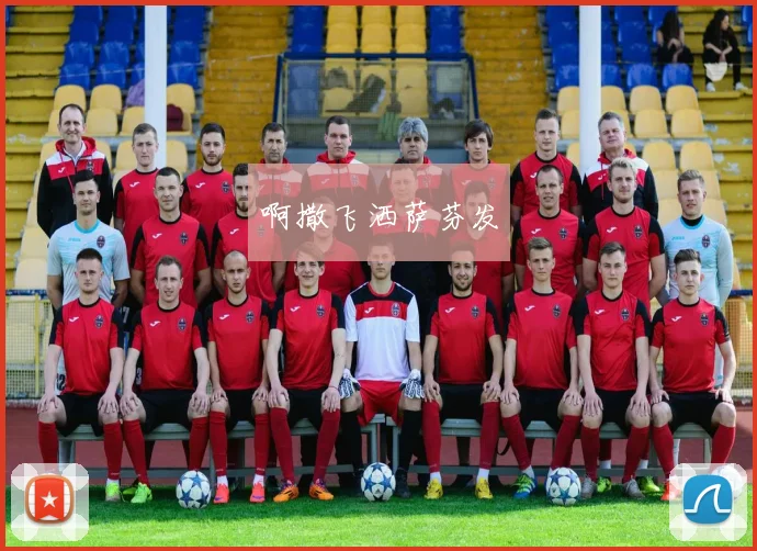 NBA大小球投注策略解析与实战结果分析