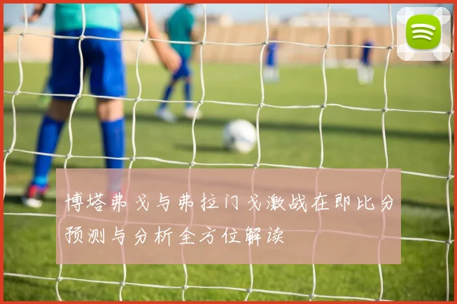 博塔弗戈与弗拉门戈激战在即比分预测与分析全方位解读
