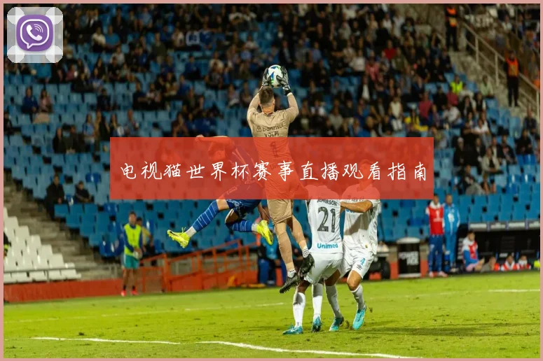 电视猫世界杯赛事直播观看指南