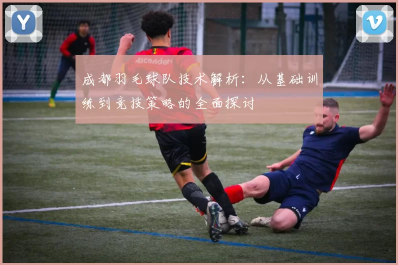 成都羽毛球队技术解析：从基础训练到竞技策略的全面探讨