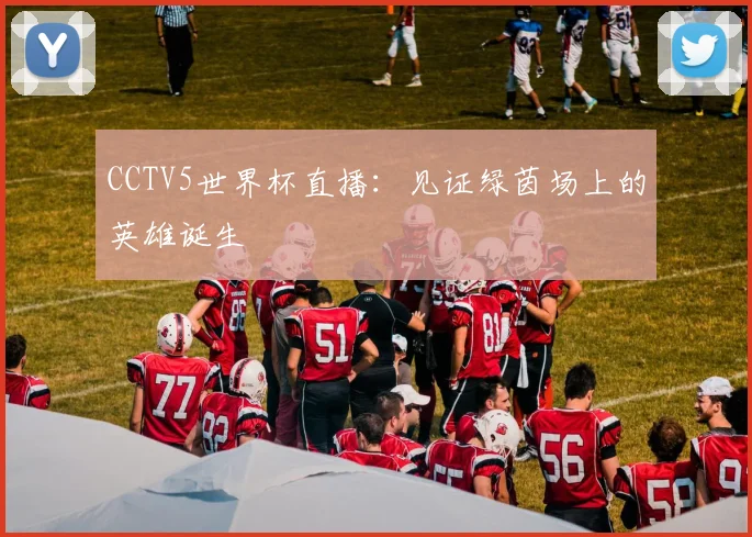 CCTV5世界杯直播：见证绿茵场上的英雄诞生