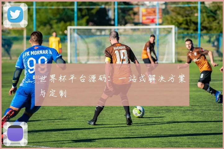 世界杯平台源码：一站式解决方案与定制