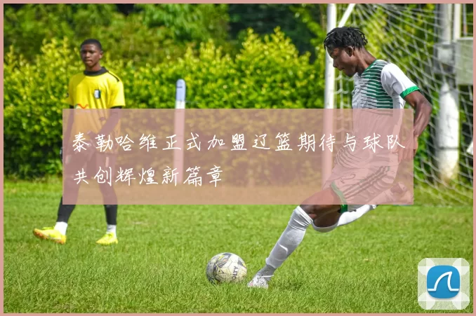 泰勒哈维正式加盟辽篮期待与球队共创辉煌新篇章