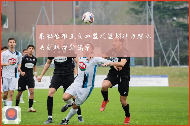 泰勒哈维正式加盟辽篮期待与球队共创辉煌新篇章