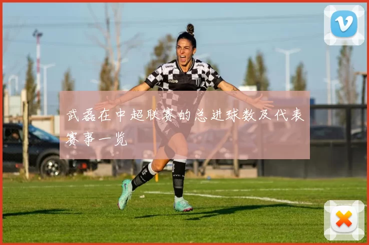 武磊在中超联赛的总进球数及代表赛事一览