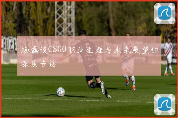 杨磊谈CSGO职业生涯与未来展望的深度专访