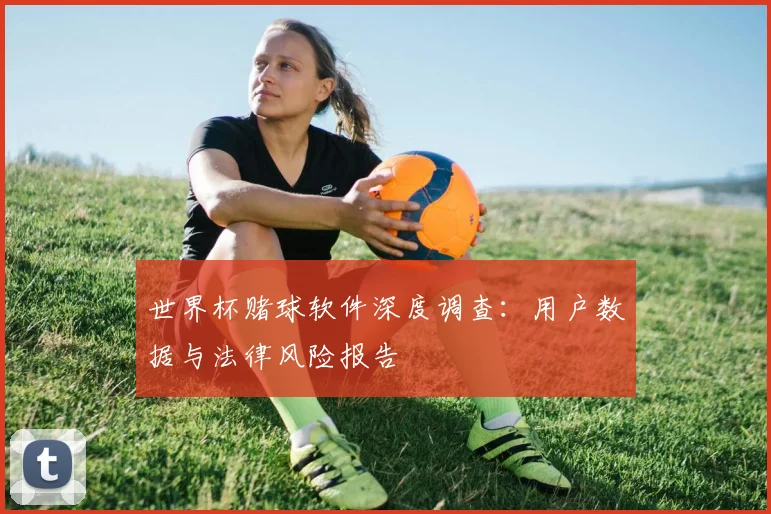 世界杯赌球软件深度调查：用户数据与法律风险报告