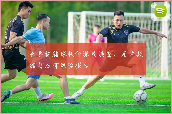 世界杯赌球软件深度调查：用户数据与法律风险报告
