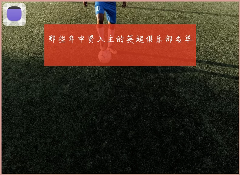 那些年中资入主的英超俱乐部名单