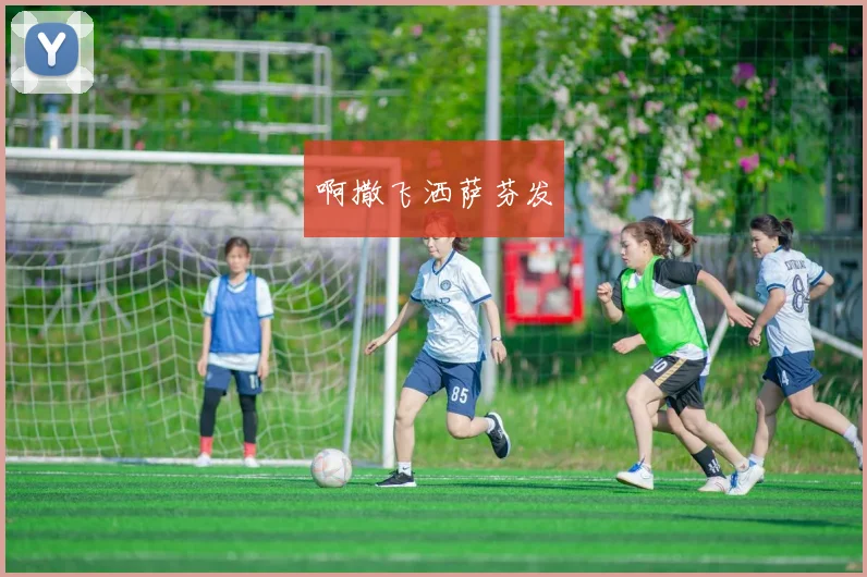 NBA大小球投注策略解析与实战结果分析