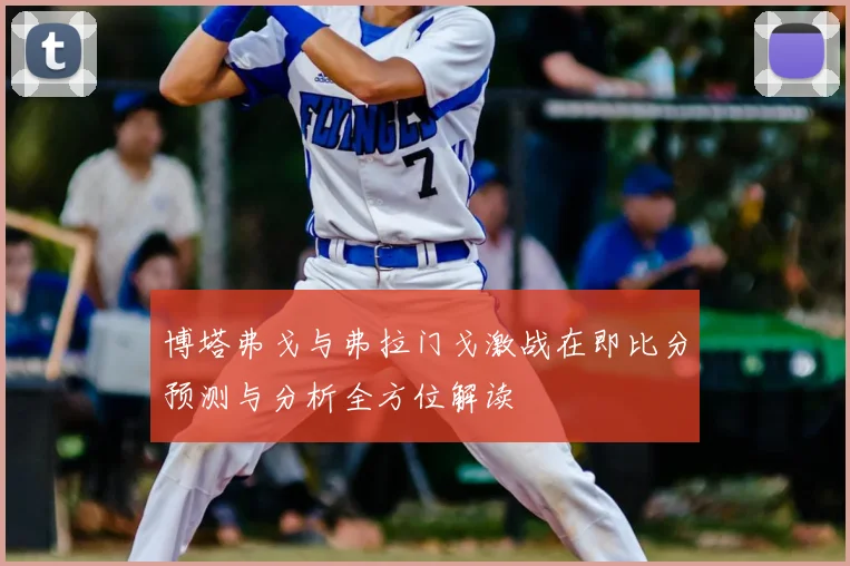 博塔弗戈与弗拉门戈激战在即比分预测与分析全方位解读