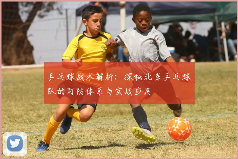 乒乓球战术解析:探秘北京乒乓球队的盯防体系与实战应用
