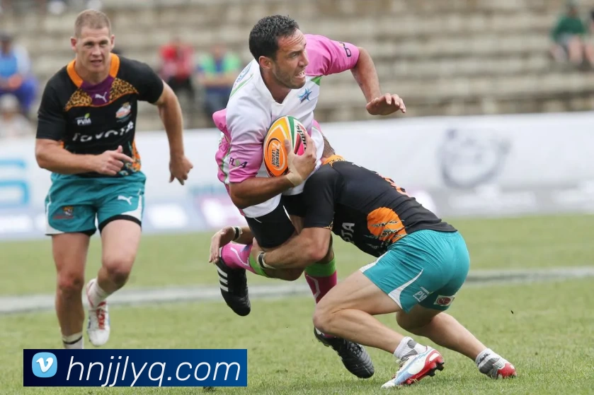 多媒体互动体验